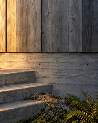 The east end: cedar siding meeting the board-formed concrete plinth at the entry steps.